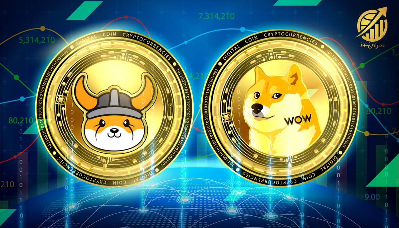 فلوکی میتواند دوج کوین بعدی